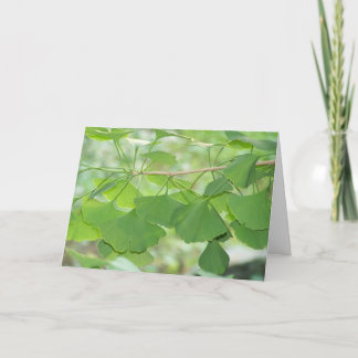 ぎんなん カード