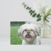 くしゃくしゃな犬 ポストカード (スタンド正面)