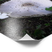 くしゃくしゃになった皿 フォトプリント            (角)