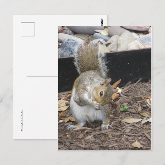 くしゃみ ポストカード (正面/裏面)