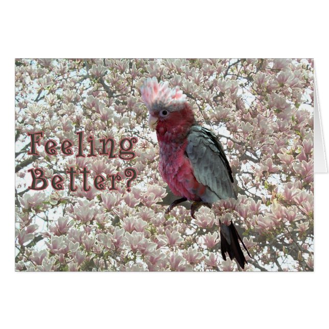 くすぐられたピンク (正面横)