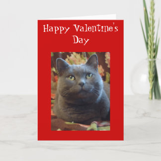 くすぐり シーズンカード