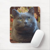 くすぐり マウスパッド (マウス)