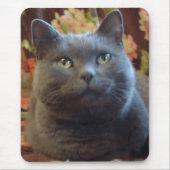 くすぐり マウスパッド (正面)