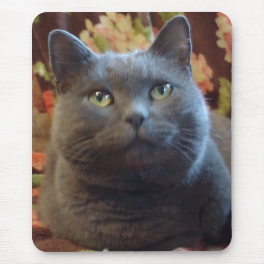 くすぐり マウスパッド (正面)