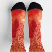 くすぶる残火 ソックス (上部)