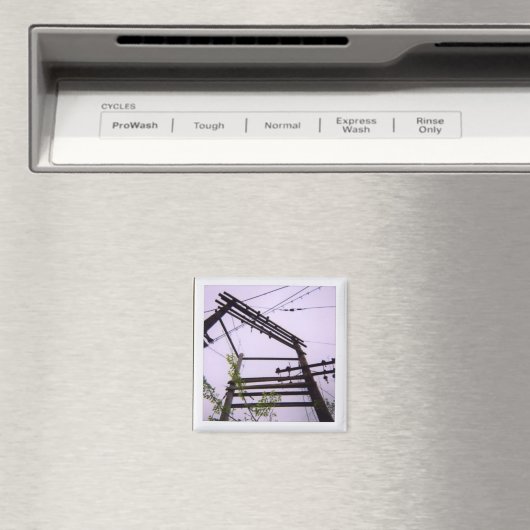 くそったれ マグネット (インサイチュ (食洗機))