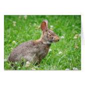 くそっ。私は恋しく思あなたの誕生日 (正面横)