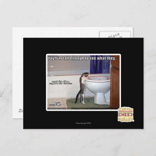 くそ ポストカード (正面/裏面)