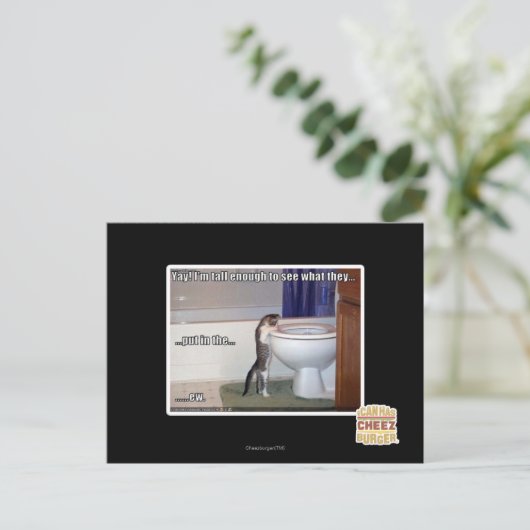 くそ ポストカード (スタンド正面)