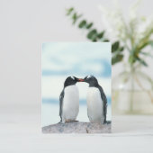 くちばしに触れている2羽のペンギン ポストカード (スタンド正面)
