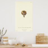 くちばしのハチドリの愛らしい巣かわいらし-! ポスター (キッチン)