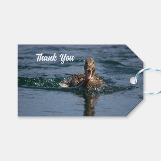 くちばしを開けてアヒル ギフトタグ (正面(横))