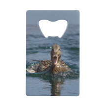 くちばしを開けてアヒル