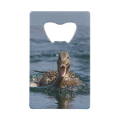 くちばしを開けてアヒル クレジットカード栓抜き (裏面)