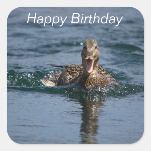 くちばしを開けてアヒル スクエアシール (正面)