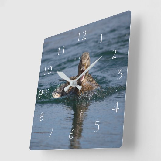 くちばしを開けてアヒル スクエア壁時計 (傾斜)