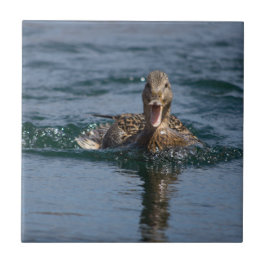 くちばしを開けてアヒル タイル