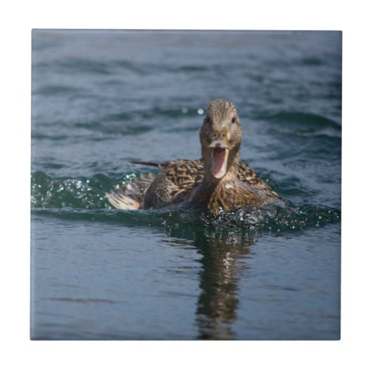 くちばしを開けてアヒル タイル (正面)