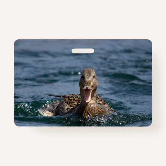 くちばしを開けてアヒル バッジ (正面)