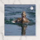 くちばしを開けてアヒル フェイバータグ (裏面)