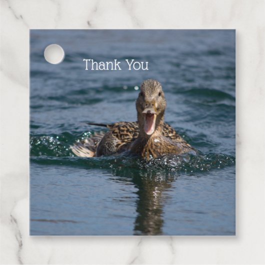 くちばしを開けてアヒル フェイバータグ (正面)