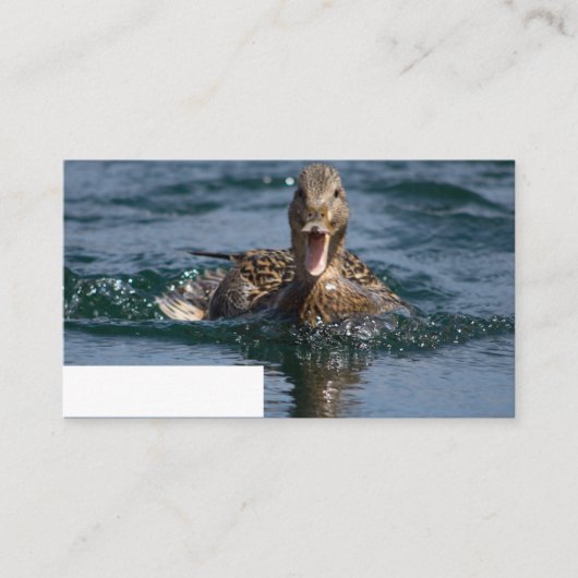 くちばしを開けてアヒル プレイスカード (正面)