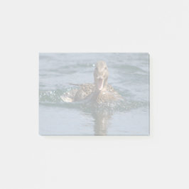 くちばしを開けてアヒル ポストイット