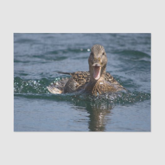 くちばしを開けてアヒル 薄葉紙 (正面)