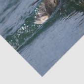 くちばしを開けてアヒル 薄葉紙 (詳細)