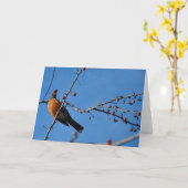 くちばし-挨拶状の果実とのロビン カード (黄色い花)