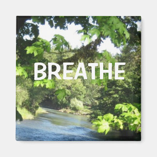 くつろぎ画像 マグネット