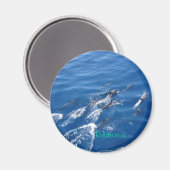 くつろぎ マグネット (正面/裏面)