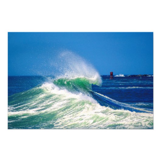 くねのある フォトプリント            (正面)