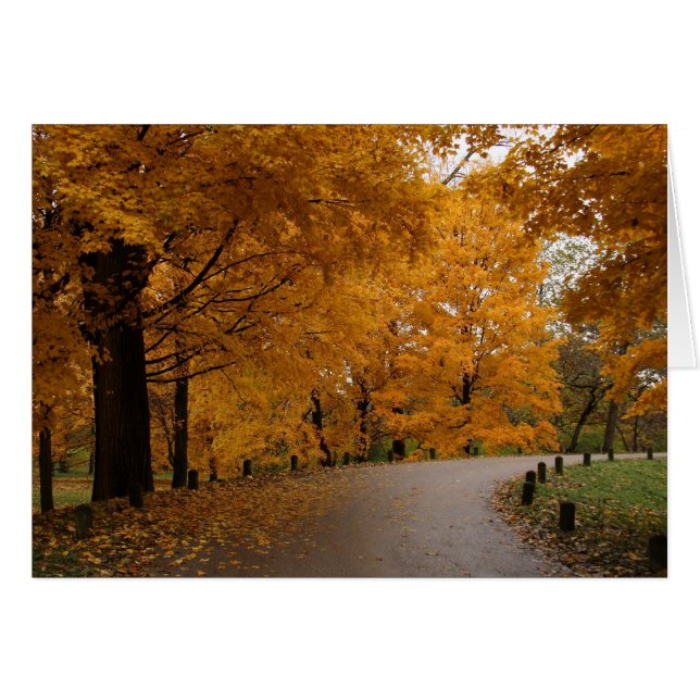 "くねりのまわりで" (正面横)