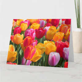 くぼんだGardens1 2013年の大きいカード春 カード