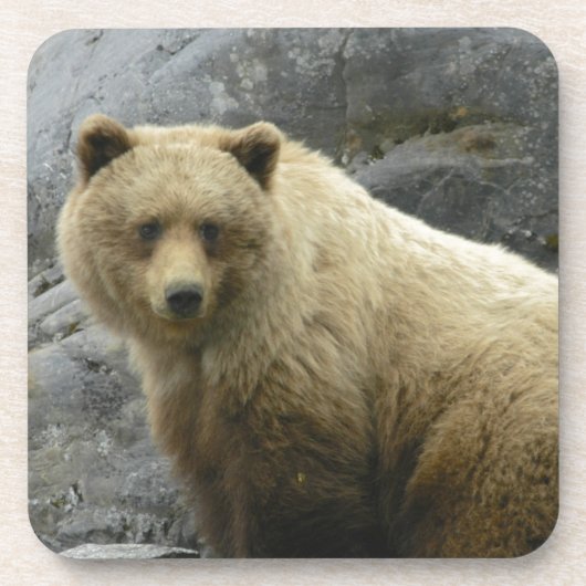 くまのアラスカ動物の運命の自然 コースター (正面)