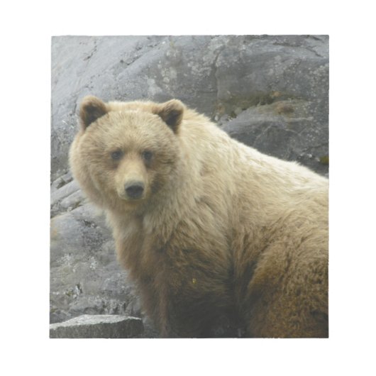 くまのアラスカ動物の運命の自然 ノートパッド (正面)