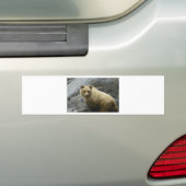 くまのアラスカ動物の運命の自然 バンパーステッカー (車上)