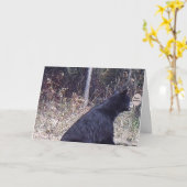 くまのバースデー・カード カード (黄色い花)