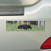 くまのモンタナのバンパーステッカー バンパーステッカー (車上)