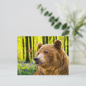 "くまの喜び" ポストカード (スタンド正面)