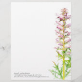 くまの砲尾のピンクの緑の水彩画の芸術レターヘッド レターヘッド (正面)