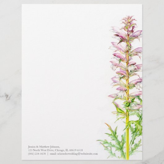 くまの砲尾のピンクの緑の水彩画の芸術レターヘッド レターヘッド (正面)