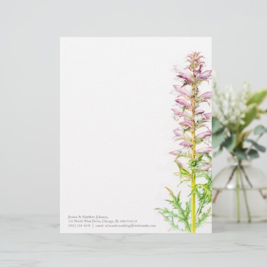 くまの砲尾のピンクの緑の水彩画の芸術レターヘッド レターヘッド (スタンド正面)