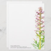 くまの砲尾のピンクの緑の水彩画の芸術レターヘッド レターヘッド (正面/裏面)