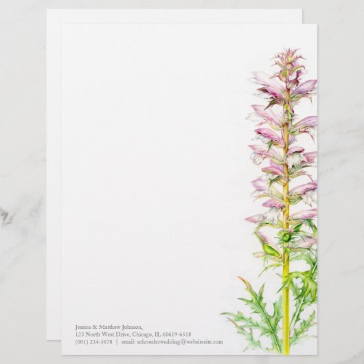 くまの砲尾のピンクの緑の水彩画の芸術レターヘッド レターヘッド (正面/裏面)