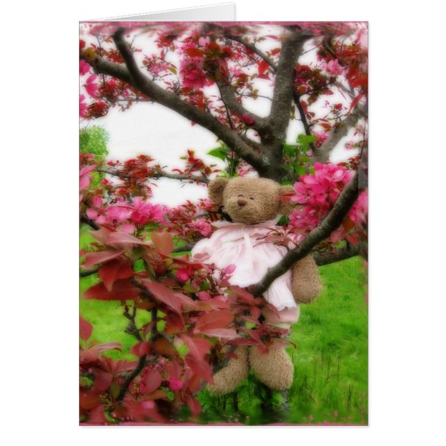 くまの花 (正面)