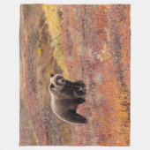 くまはDenaliの国立公園、秋のアラスカを動かします フリースブランケット (正面)