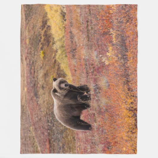 くまはDenaliの国立公園、秋のアラスカを動かします フリースブランケット (正面)